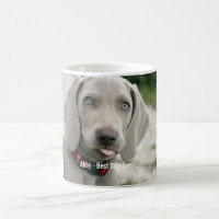 Personalised Weimaraner Dog Photo and Dog Name