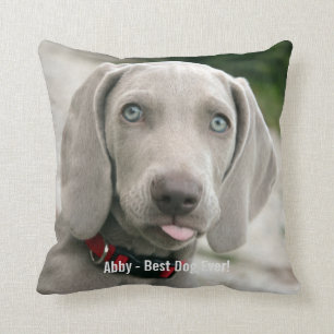 Personalised Weimaraner Dog Photo and Dog Name Cushion