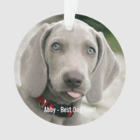 Personalised Weimaraner Dog Photo and Dog Name
