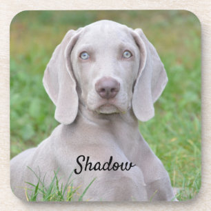 Personalised Weimaraner Puppy Dog Coaster