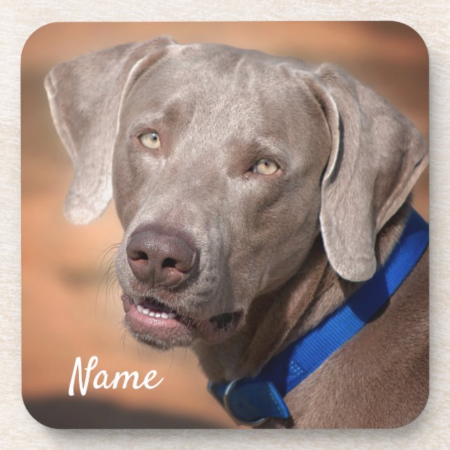 Personalised Weimaraner Puppy Dog Coaster (Front)