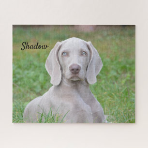 Personalised Weimaraner Puppy Dog Jigsaw Puzzle