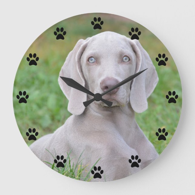 Personalised Weimaraner Puppy Dog Paw Print Time Large Clock (Front)