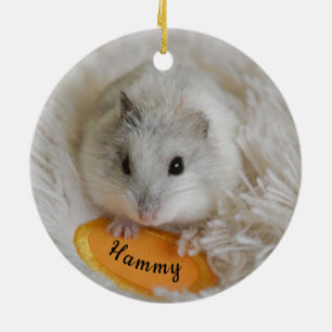 Personalised White Dwarf Hamster Pet Ceramic Ornament