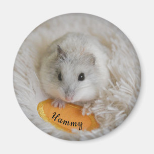 Personalised White Dwarf Hamster Pet  Magnet