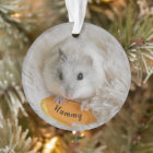 Personalised White Dwarf Hamster Pet