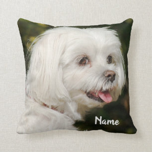 Personalised White Maltese Puppy Dog Cushion