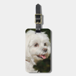 Personalised White Maltese Puppy Dog Luggage Tag