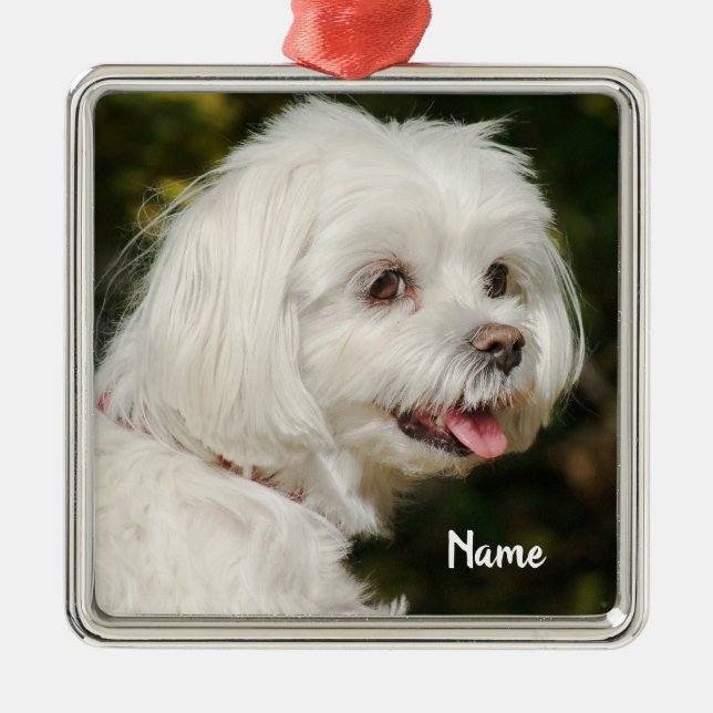 Personalised White Maltese Puppy Dog Metal Ornament (Front)