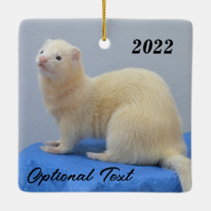 Personalised White Pet Ferret Ceramic Ornament