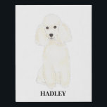 Personalised White Poodle Faux Canvas Print<br><div class="desc">I am in love with this beautifully detailed watercolor illustration of a white poodle dog! Personalise these canvas art prints with your name or monogram and even and change the background colour to compliment your decor! Shop the rest of my collection for the sweetest housewarming, bridal shower, teacher, mother-in-law, husband,...</div>