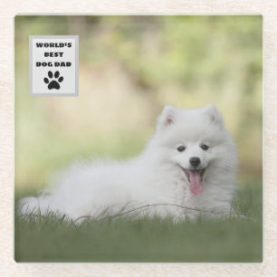Personalised World's Best Dog Dad Custom Photo Glass Coaster