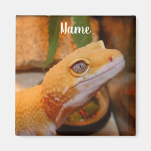 Personalised Yellow Leopard Gecko Lizard Magnet