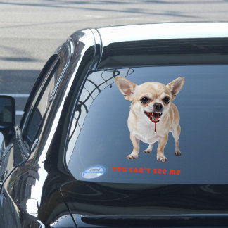 Personalised You Can't See Me Chihuahua WWE Car