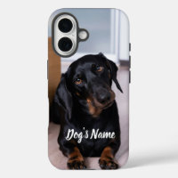 Personalised your Dachshund Dog Photo & Name
