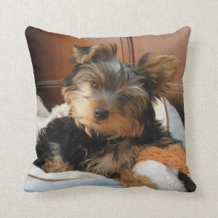 Personality Plus Yorkie Cushion
