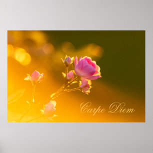 Personalizable Carpe Diem with beautiful rose! Poster