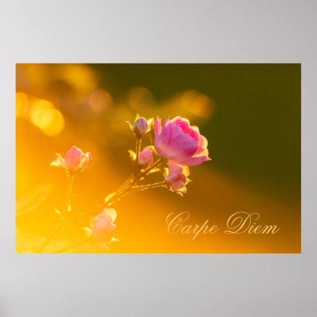 Personalizable Carpe Diem with beautiful rose! Poster (Front)