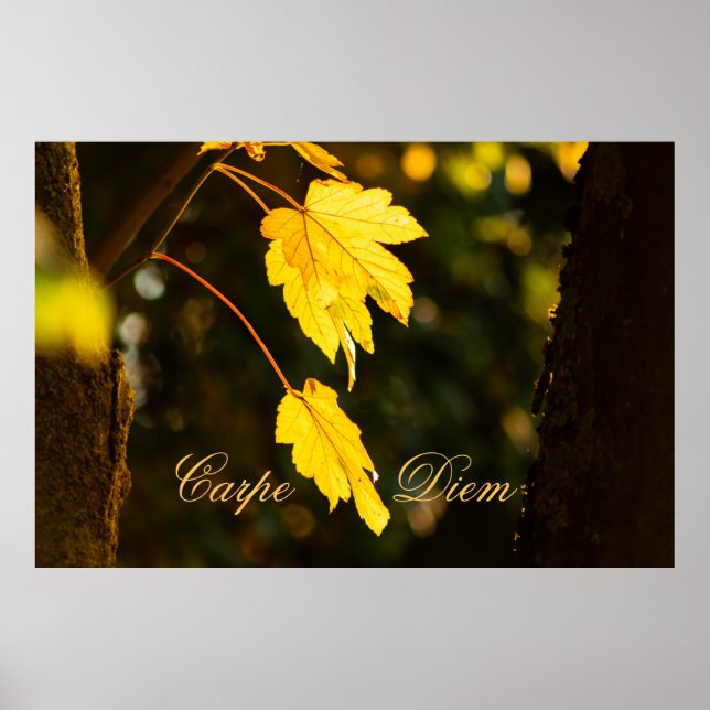 Personalizable Carpe Diem with colourful leaf Post Poster (Front)