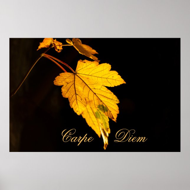Personalizable Carpe Diem with colourful leaf Post Poster (Front)