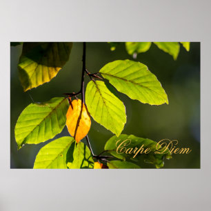 Personalizable Carpe Diem with colourful leaf Post Poster