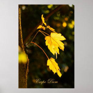 Personalizable Carpe Diem with colourful leaf Post Poster