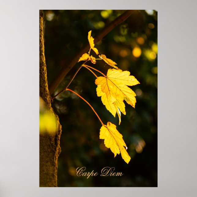 Personalizable Carpe Diem with colourful leaf Post Poster (Front)