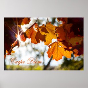 Personalizable Carpe Diem with colourful leaf Post Poster