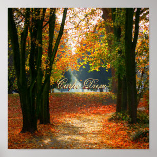 Personalizable Carpe Diem with colourful leaf Poster