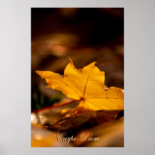 Personalizable Carpe Diem with colourful leaf Poster (Front)
