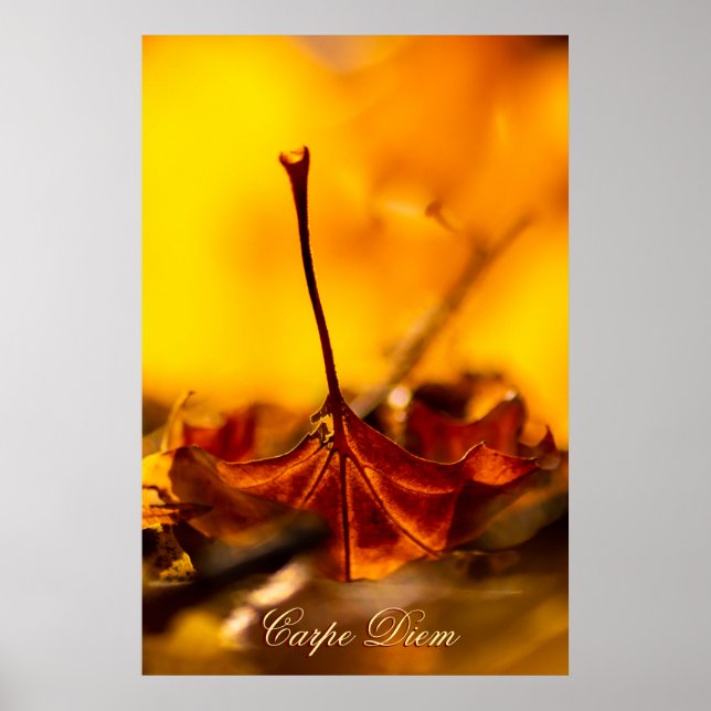 Personalizable Carpe Diem with colourful leaf Poster (Front)