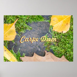 Personalizable Carpe Diem with colourful leaves Poster