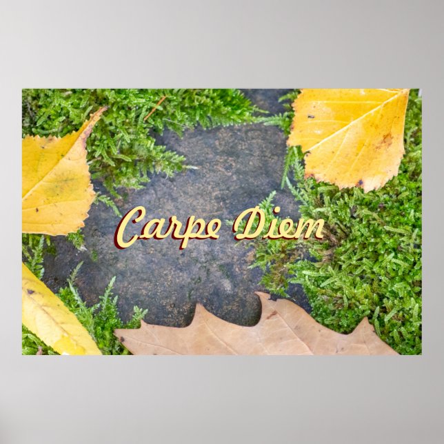 Personalizable Carpe Diem with colourful leaves Poster (Front)
