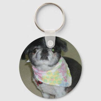 Personalizable Dog Keychain