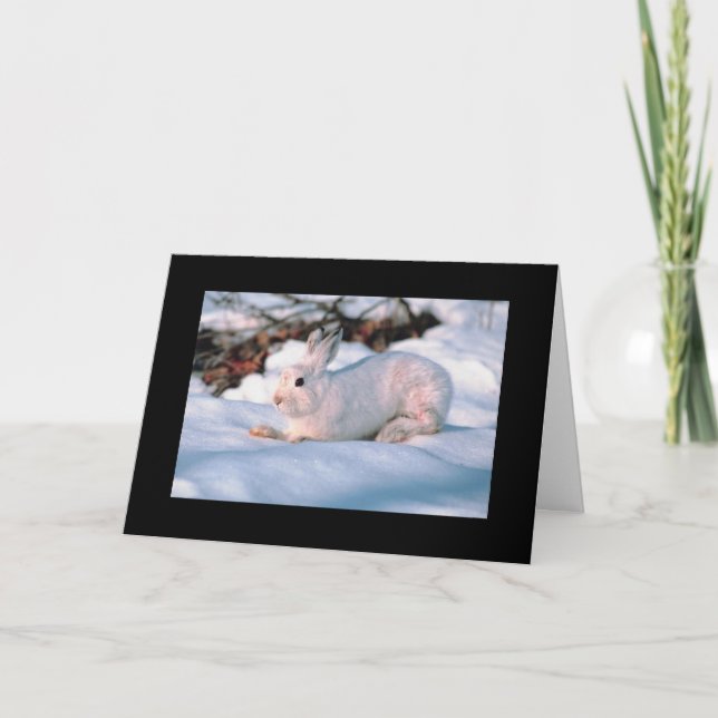 Personalizable Holiday Card White Bunny (Front)