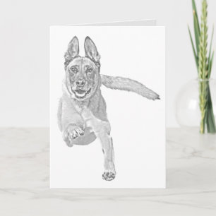 Personalizable Pencil Malinois Greeting Card