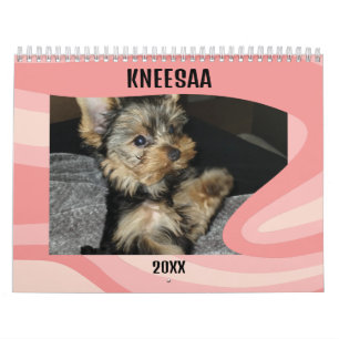 Personalize It! Swirl-A-Licious Pink Pet Photo Calendar