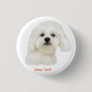Personalize Maltese puppy 3 Cm Round Badge