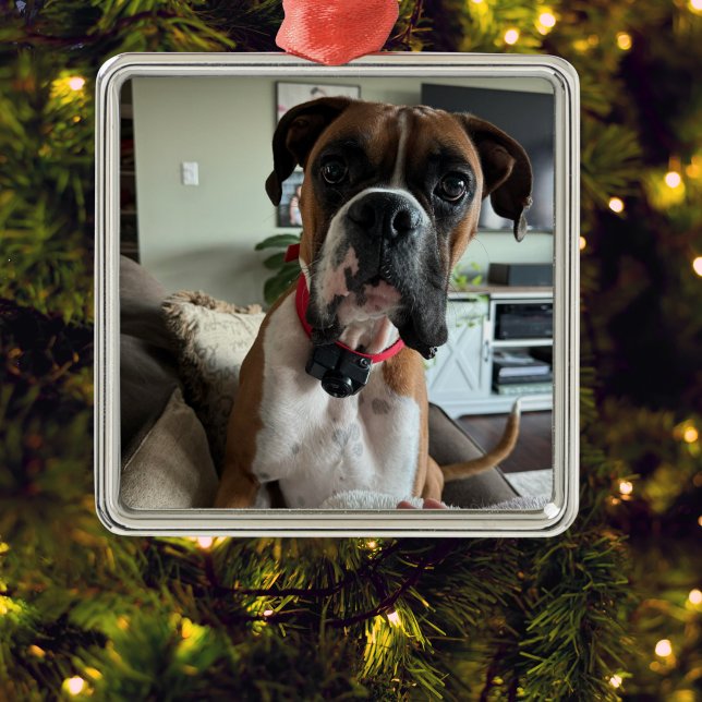 PERSONALIZE Modern PET PHOTO Ornament (Elegant and timeless pet keepsake.)
