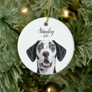 personalize pet name & picture ceramic ornament