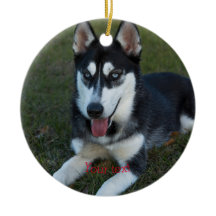 Personalize Siberian Husky puppy
