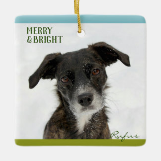 Personalized Best Dog or Puppy Photo Picture Name Ceramic Ornament