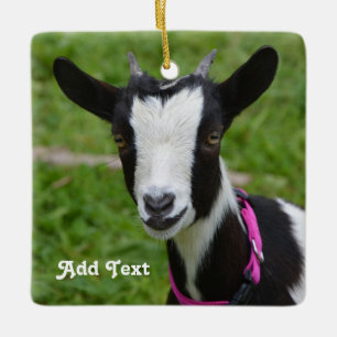 Personalized Black and White Dwarf Goat Ceramic Ornament