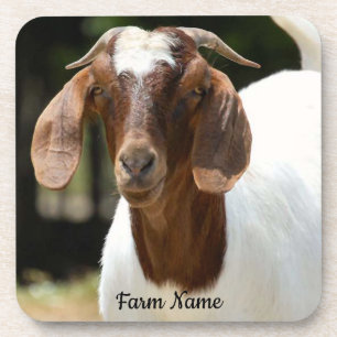 Personalized Boer Goat Farm Coaster