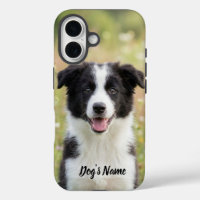 Personalized Border Collie Photo and Name