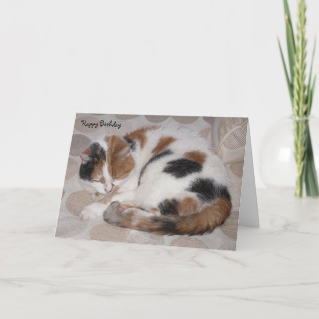 Personalized Calico cat curled up asleep Birthday Card (Front)