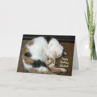Personalized Calico cat curled up asleep Birthday