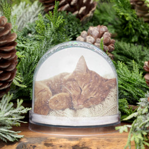 Personalized Cat Photos Keepsake Snow Globe