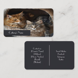 Personalized Cattery Business Card