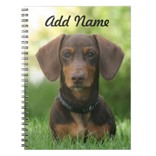Personalized Chocolate and Tan Dachshund - Doxie Notebook